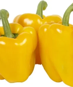 poivrons jaunes ±1kg